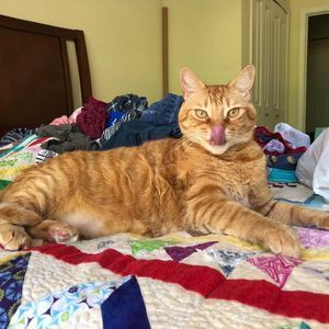 Meet your Posher, Carolyn